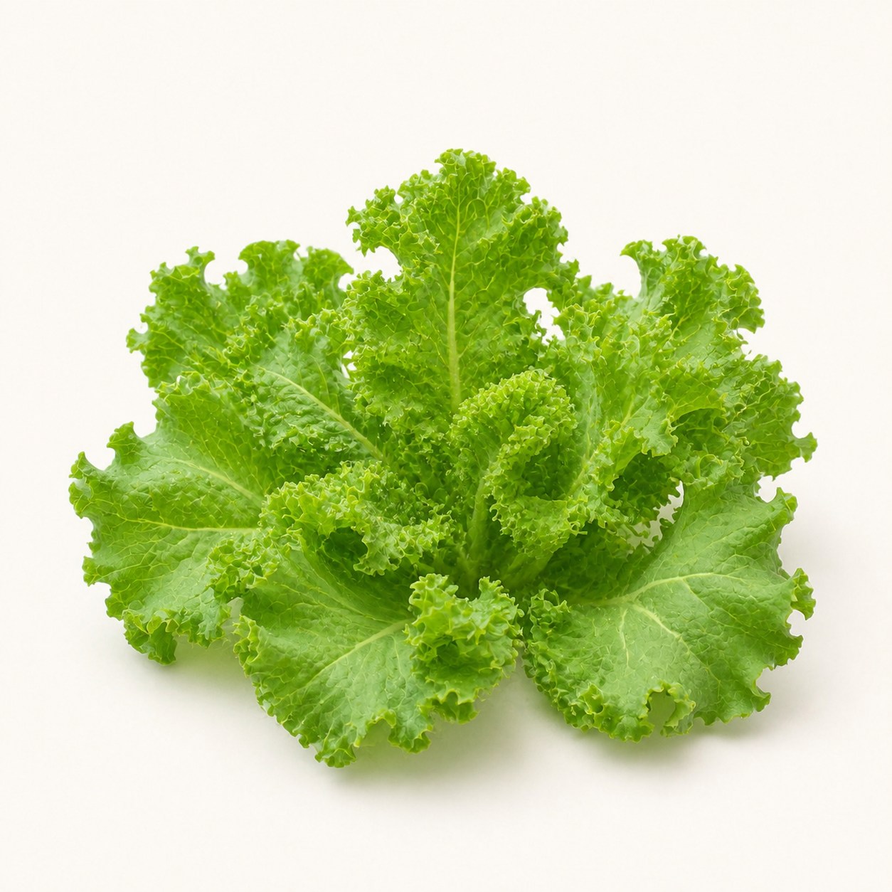 เคลสดจาก GREEN4 บนพื้นหลังสีครีม